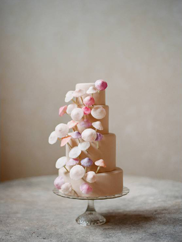 toadstool cake Divine Toadstools